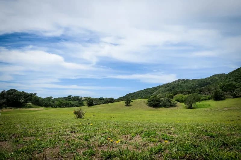 A fairway fringed by dense coastal bush